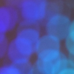 Bokeh-300